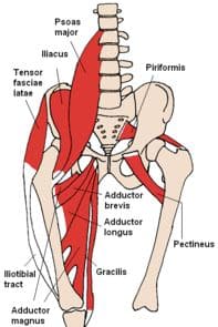 Hip pain during squats