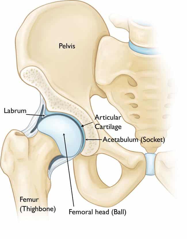 Lateral Hip Pain: a Physio Perspective